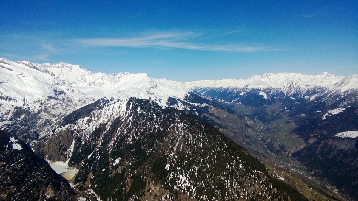 Zahmes Wallis im&nbsp;Frühjahr