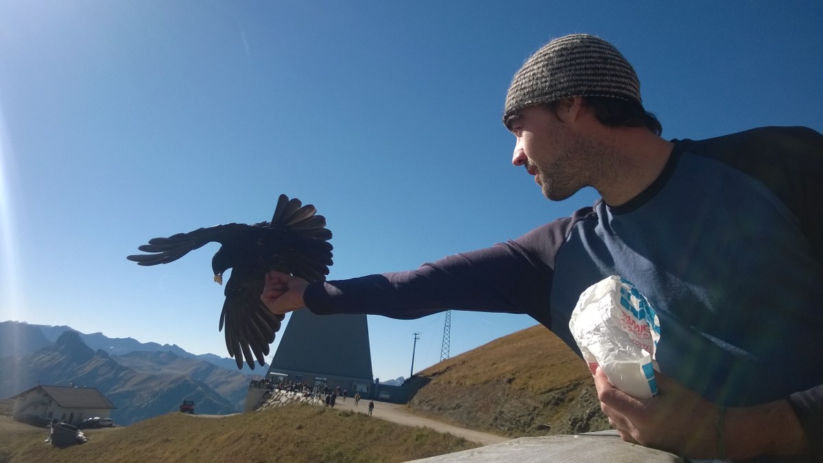 Rausgehen und aufdrehen