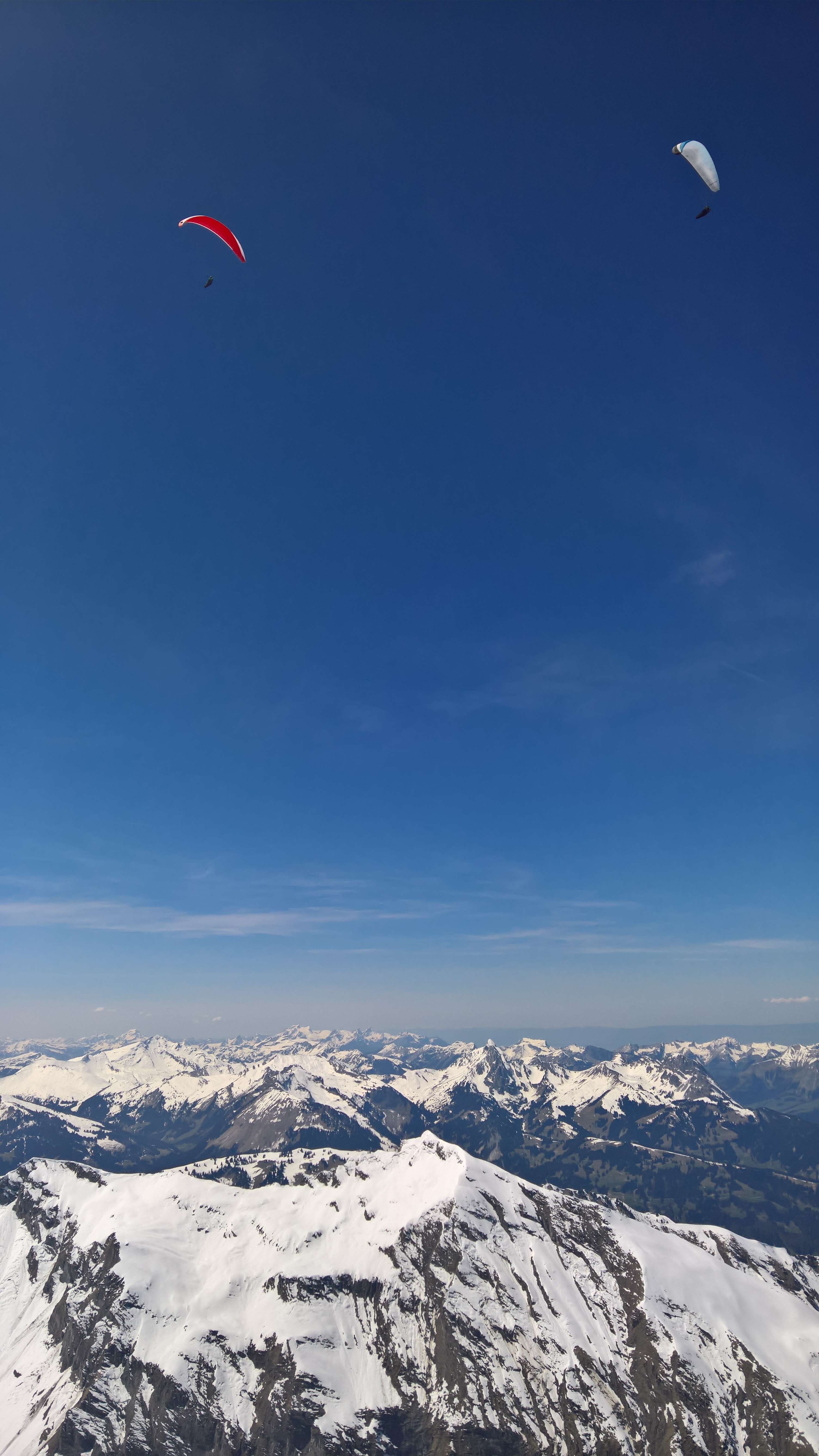 WP_20160506_13_21_33_Rich