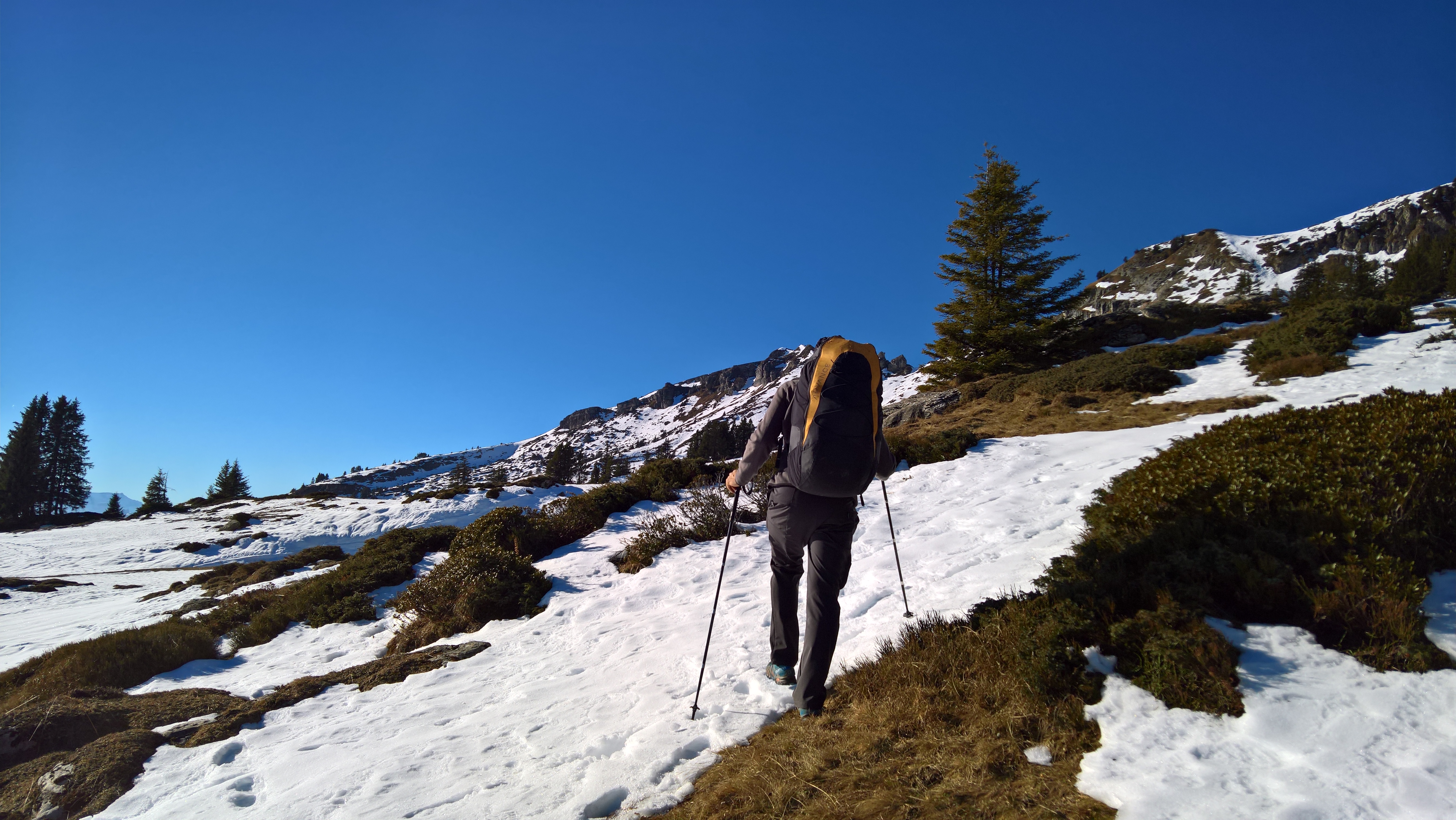 wp_20161204_11_47_34_pro